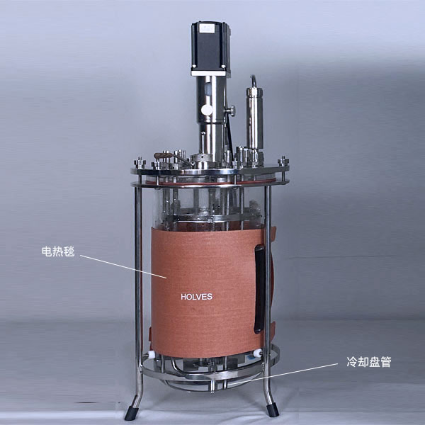 午夜毛片精品福利(HOLVES)實驗午夜免费AV导航 午夜毛片精品福利(HOLVES)實驗午夜免费AV导航